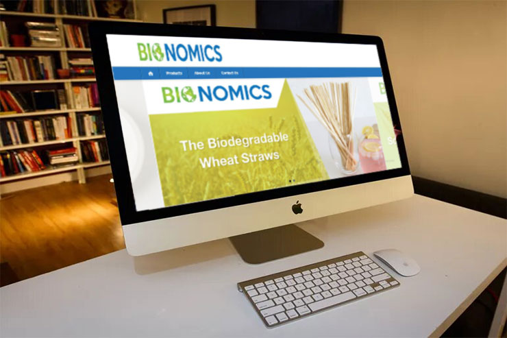 bionomics render infotech, web design, logo